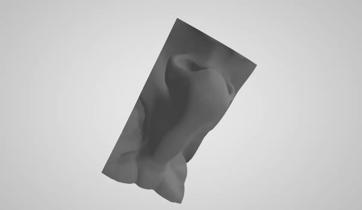 Nose Mesh for Sculpting training Free 3D print model