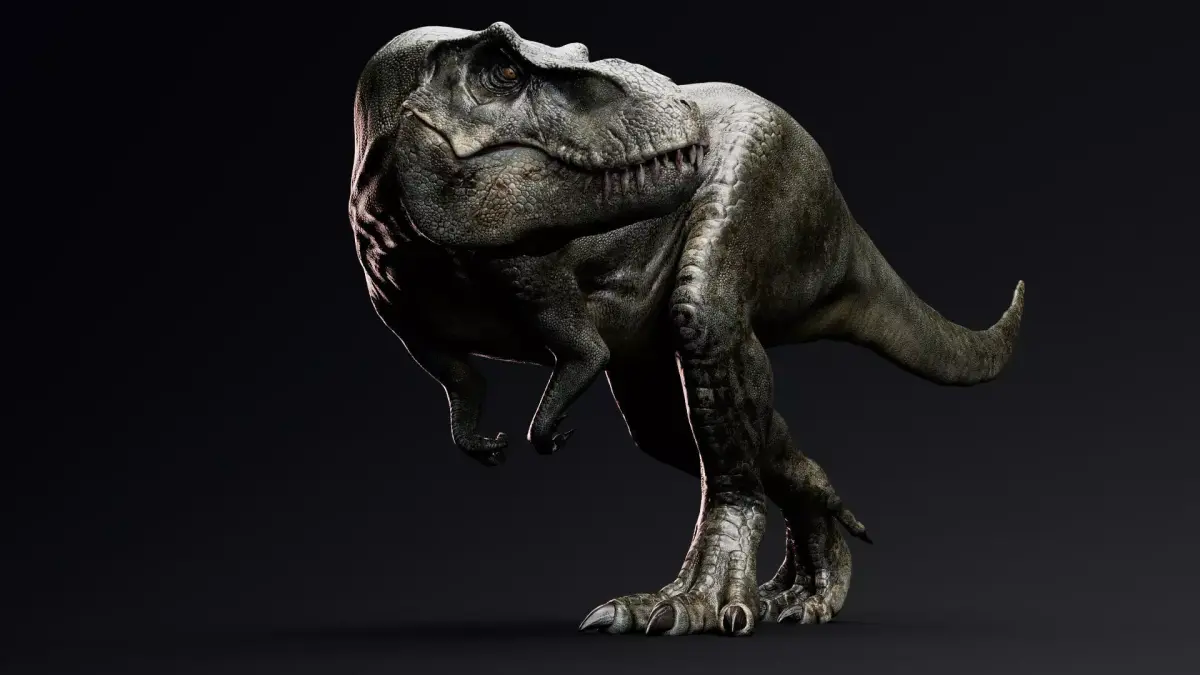 Dinosaur Tyrannosaurus Rex Stan Unity Project Low-poly 3D model