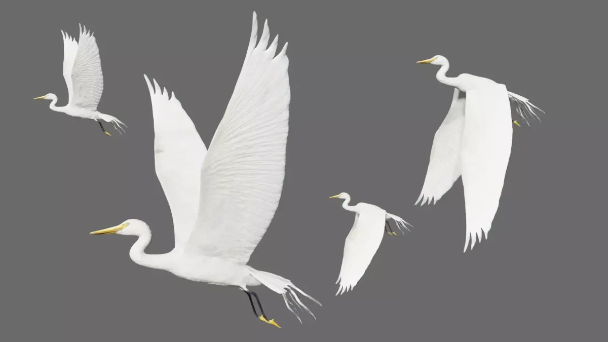 Egret flying in sky Low-poly 3D model