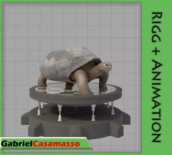 Galapagos-Tortoise tortoise 3D model