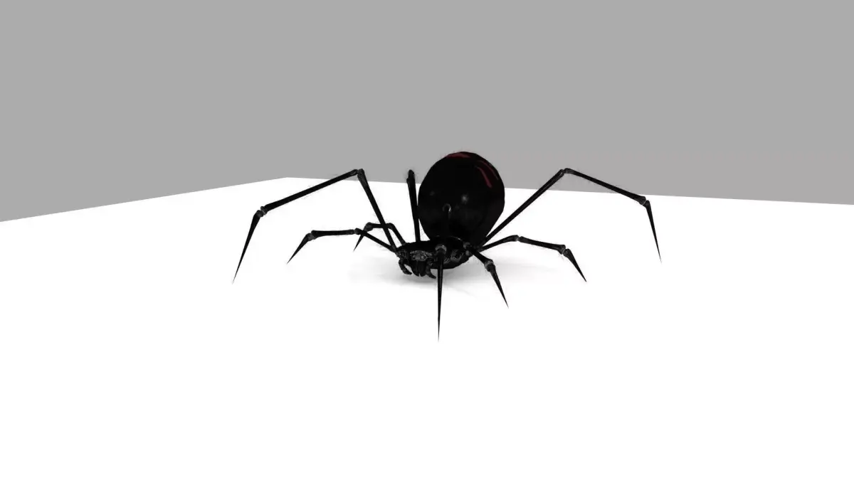 Black Widow Rigged and Walk Animation Low-poly 3D model