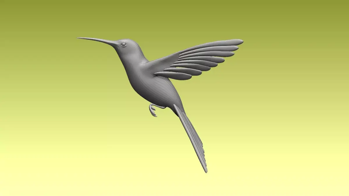 colibri humming bird 3D model
