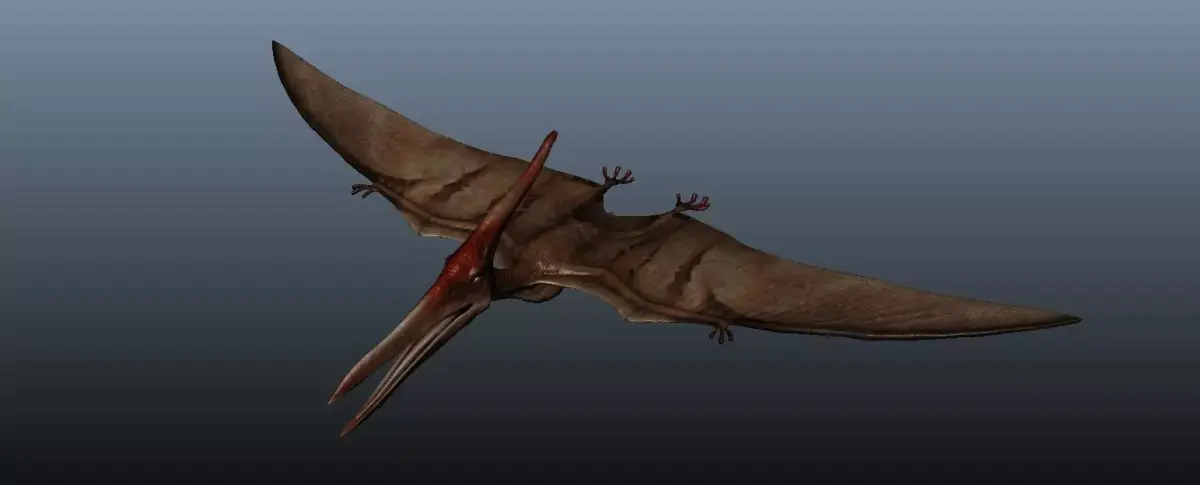 Pteranodon dinosaur flying in sky 3D model