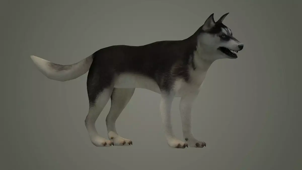 dog animal mammal husky siberian alaska cabin snow perro 3D model