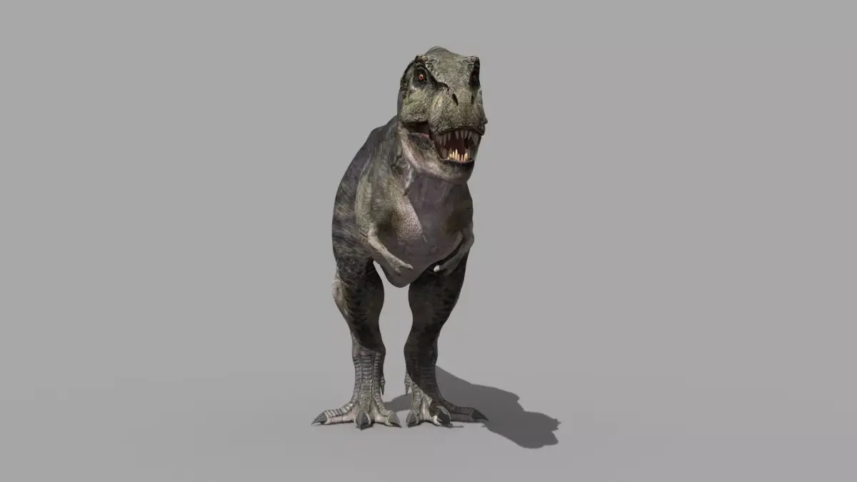 Accurate T Rex 8K - fully animated 3D model