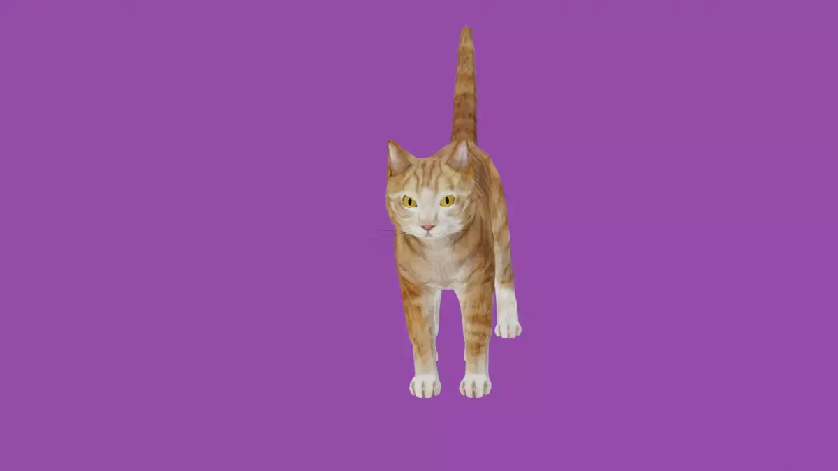 cat lowpoly 3d model 3D model