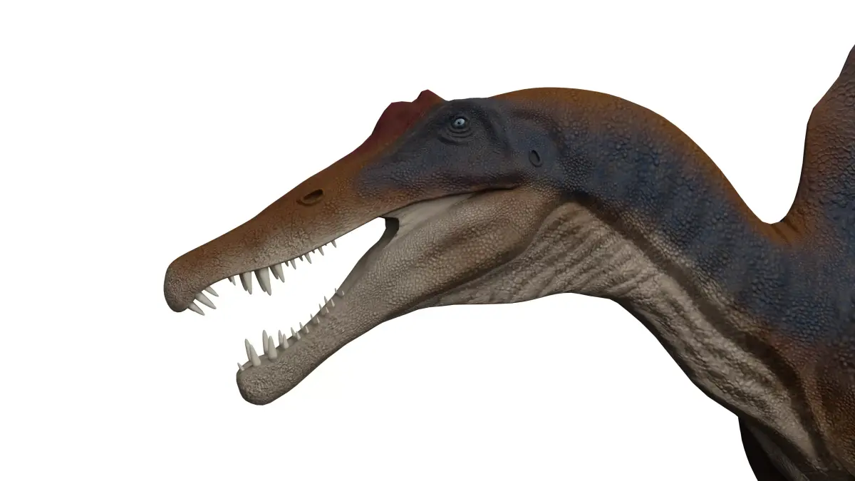 Spinosaurus aegyptiacus Low-poly 3D model purchase