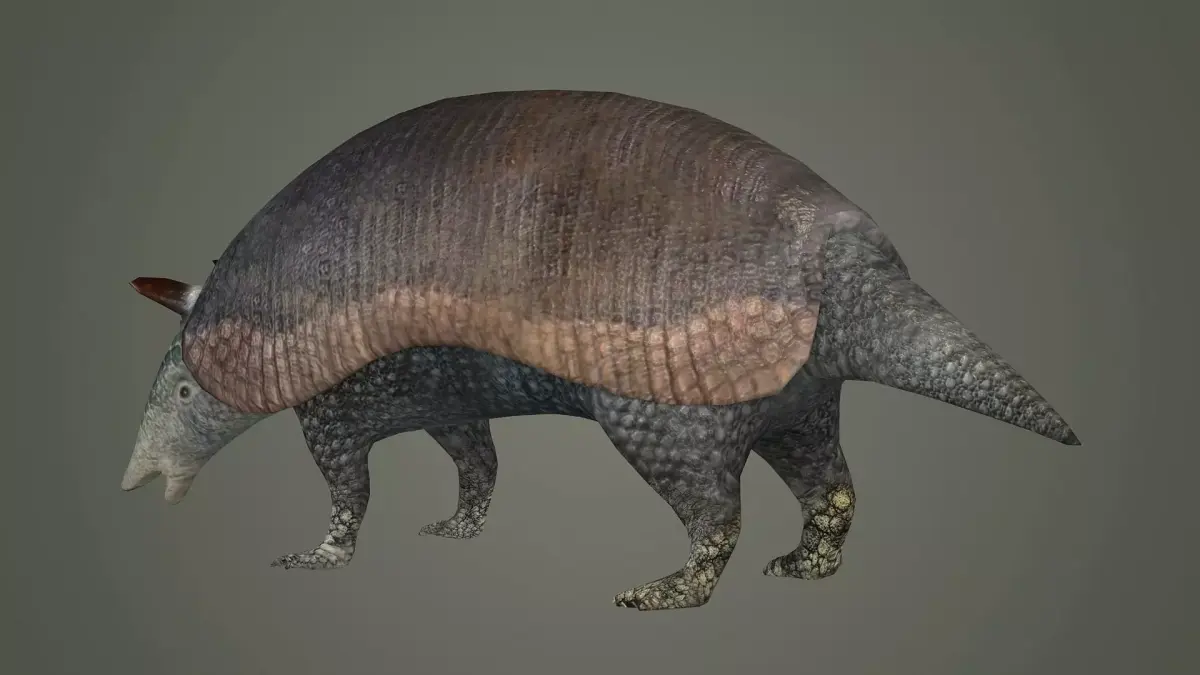 armadillo animal mammal critter wild zoo dasypus 3D model