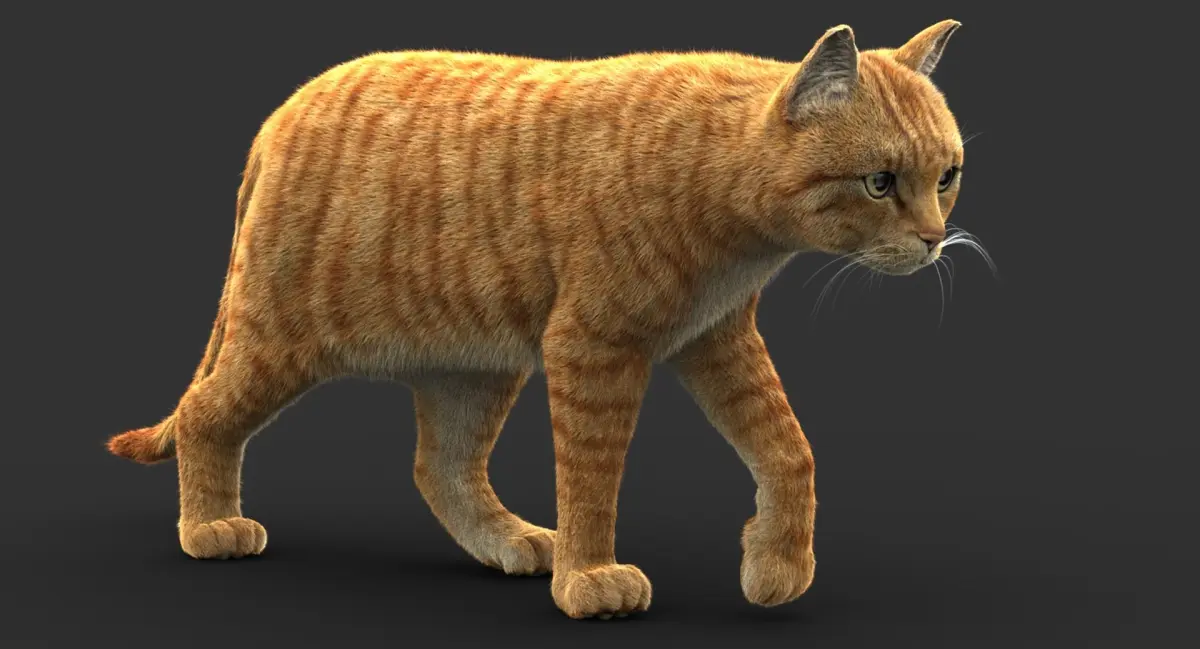 Cat (2) (Orange Tabby) (FUR) 3D model