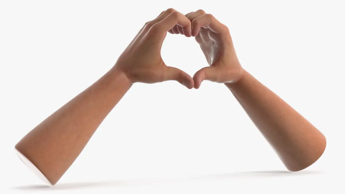 Male Hand Pair Forming Heart Shape 3D model