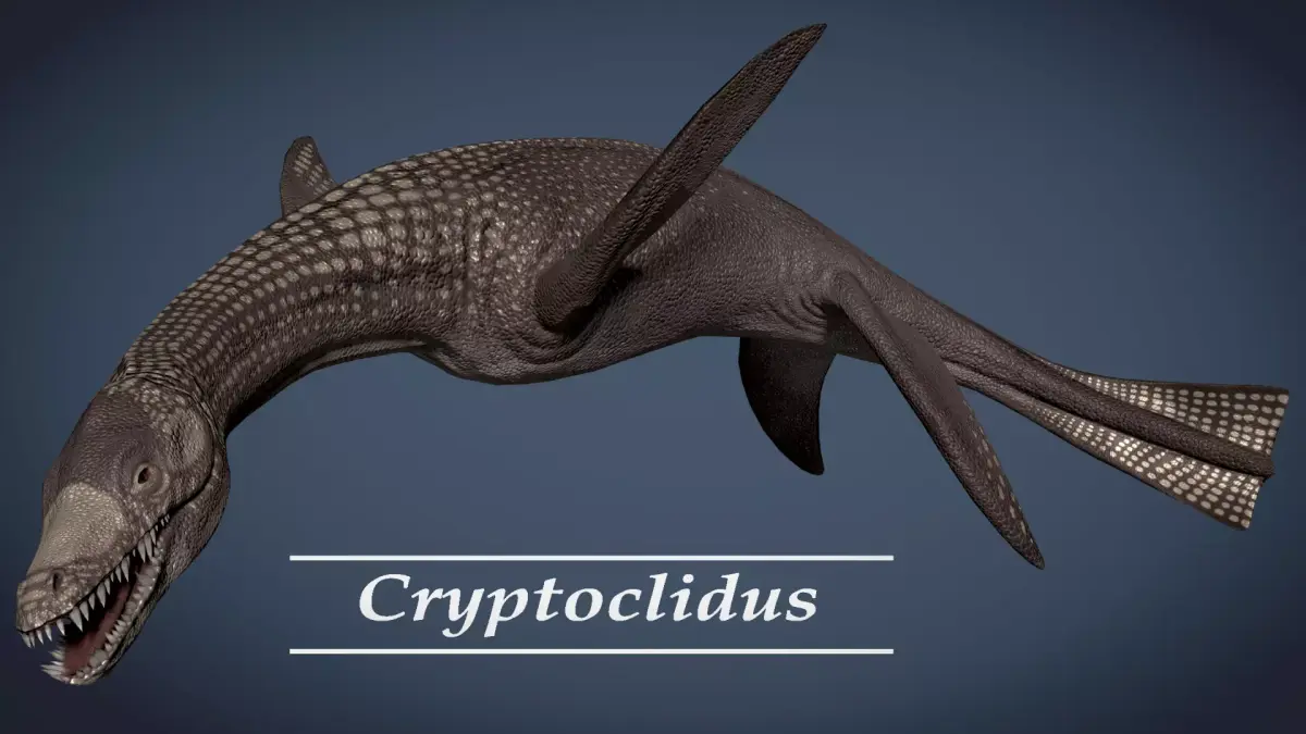 Cryptoclidus Pack Low-poly 3D model