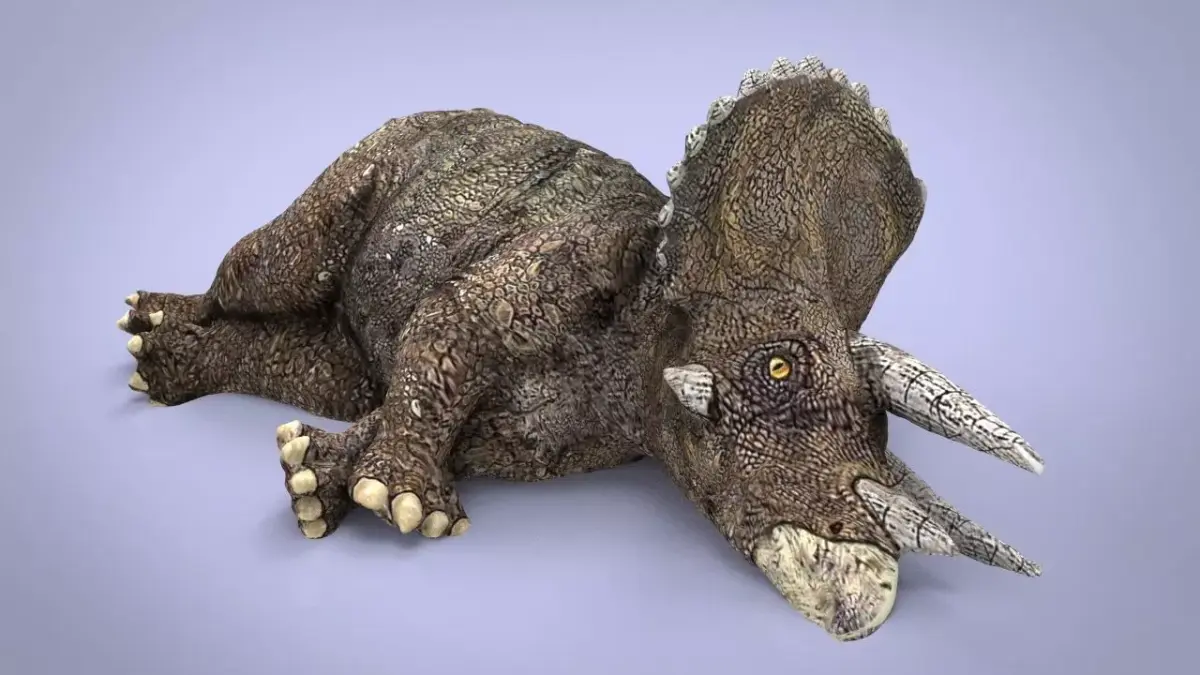 TRICERATOPS dinosaur Low-poly 3D model buy