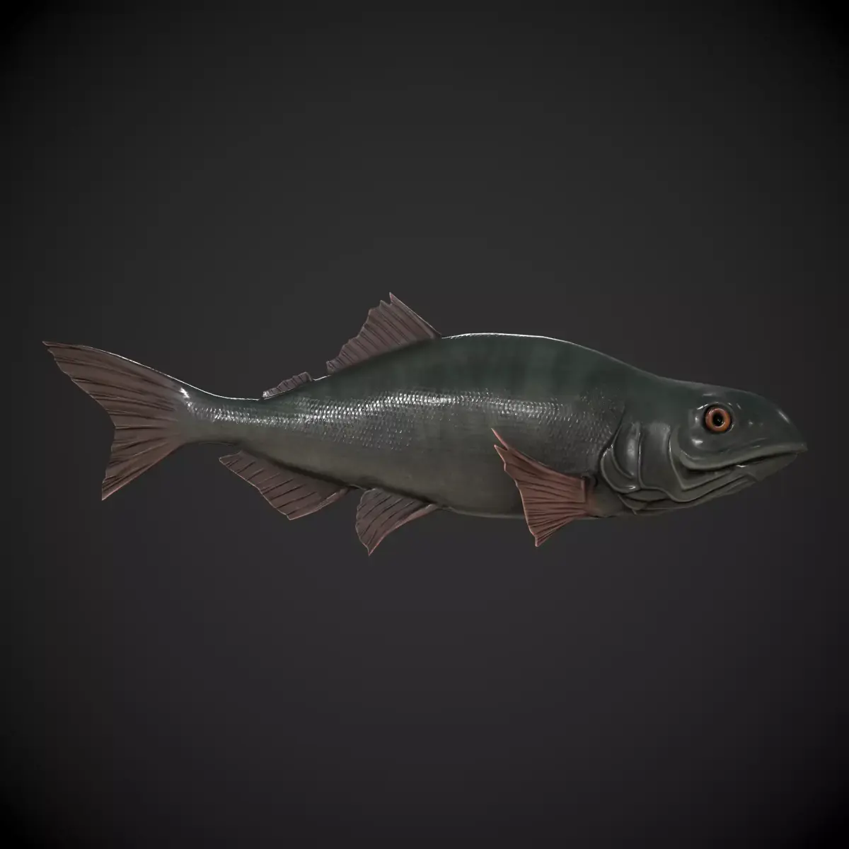 Freshwater Fish Low-poly 3D model