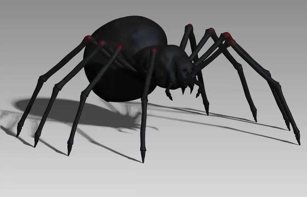 Black spider Low-poly 3D model purchase