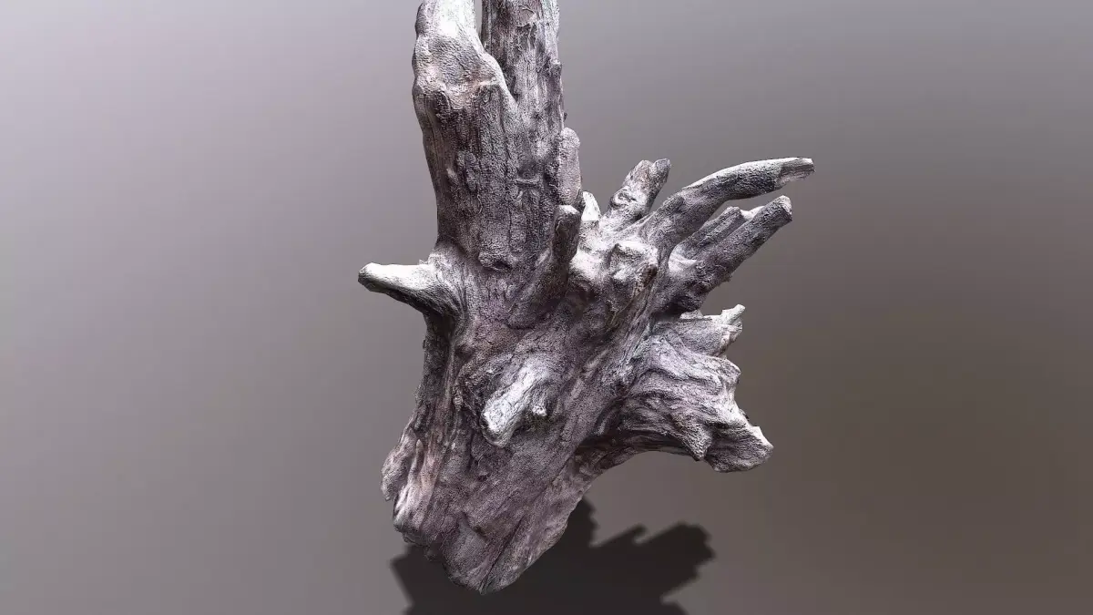 Bark tree part Low-poly 3D model
