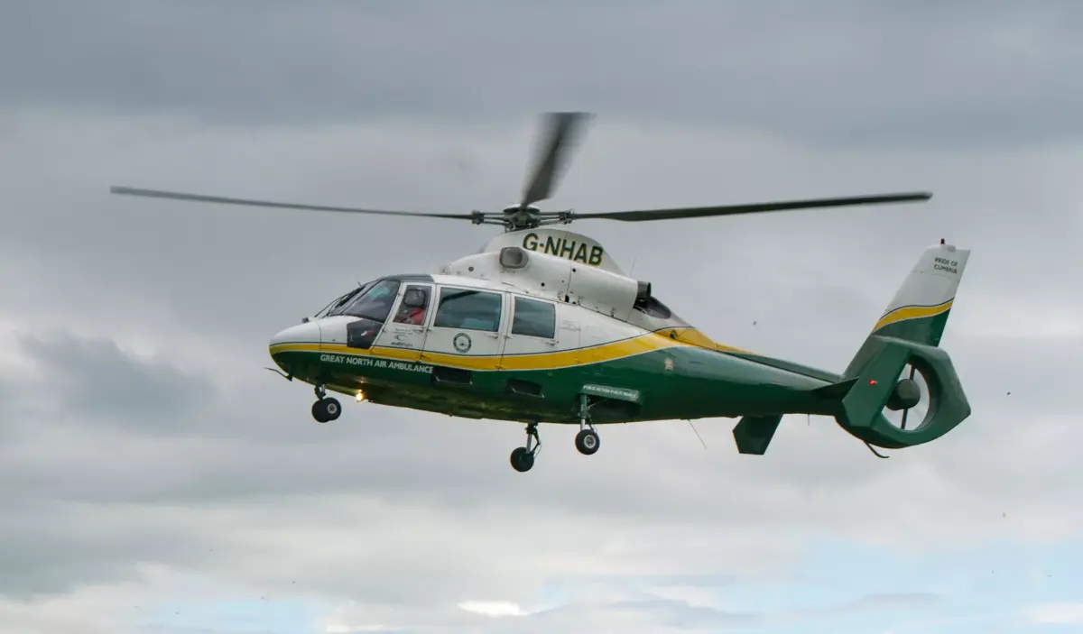 Eurocopter AS-365 3D model purchase