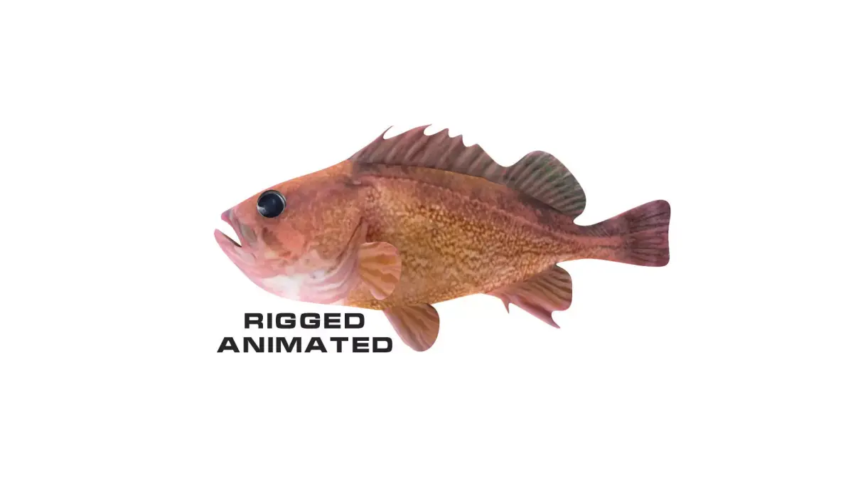 Low-Poly Honeycomb Rockfish Animated  Low-poly 3D model
