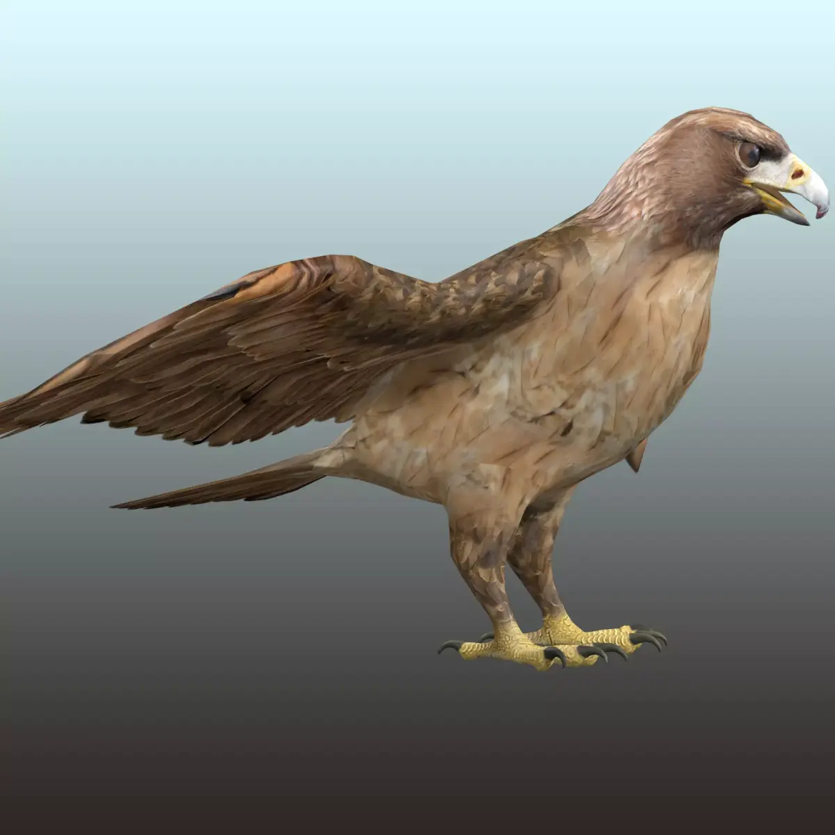 Golden Eagle  Low-poly 3D model