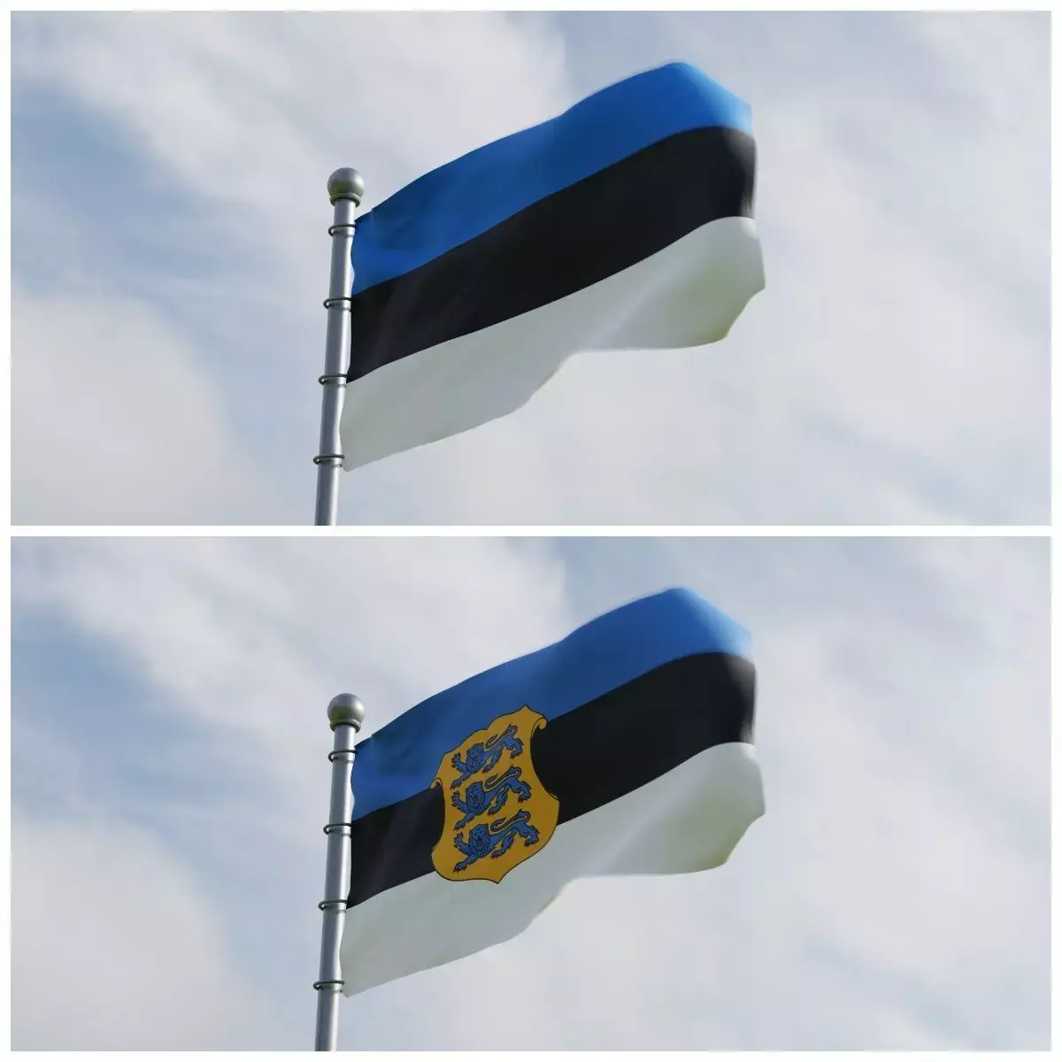 Animated Estonia Flags 3D model
