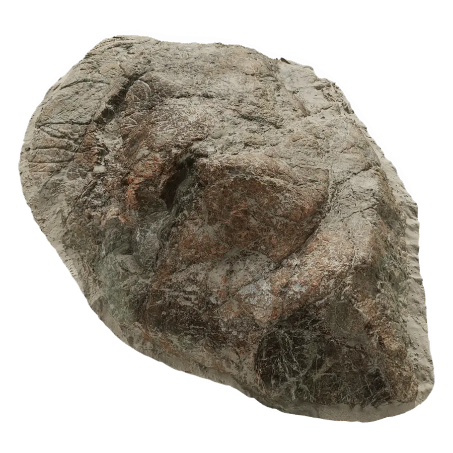 Large Wave Beach Rock Model  purchase