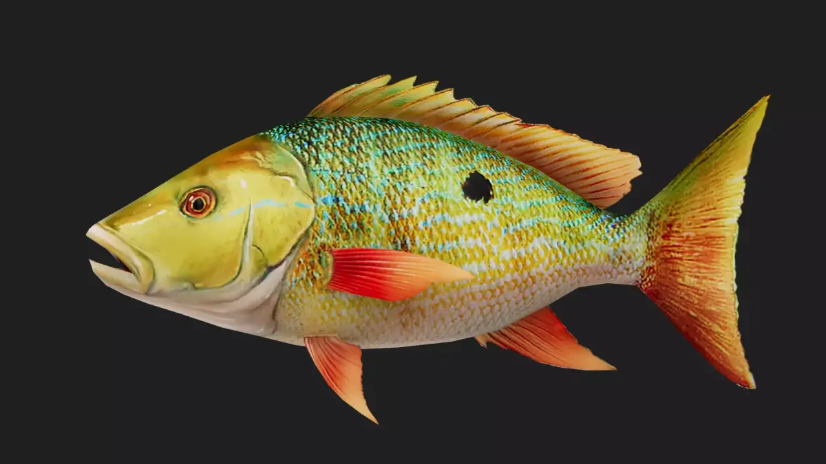 Snapper Low-poly 3D model order