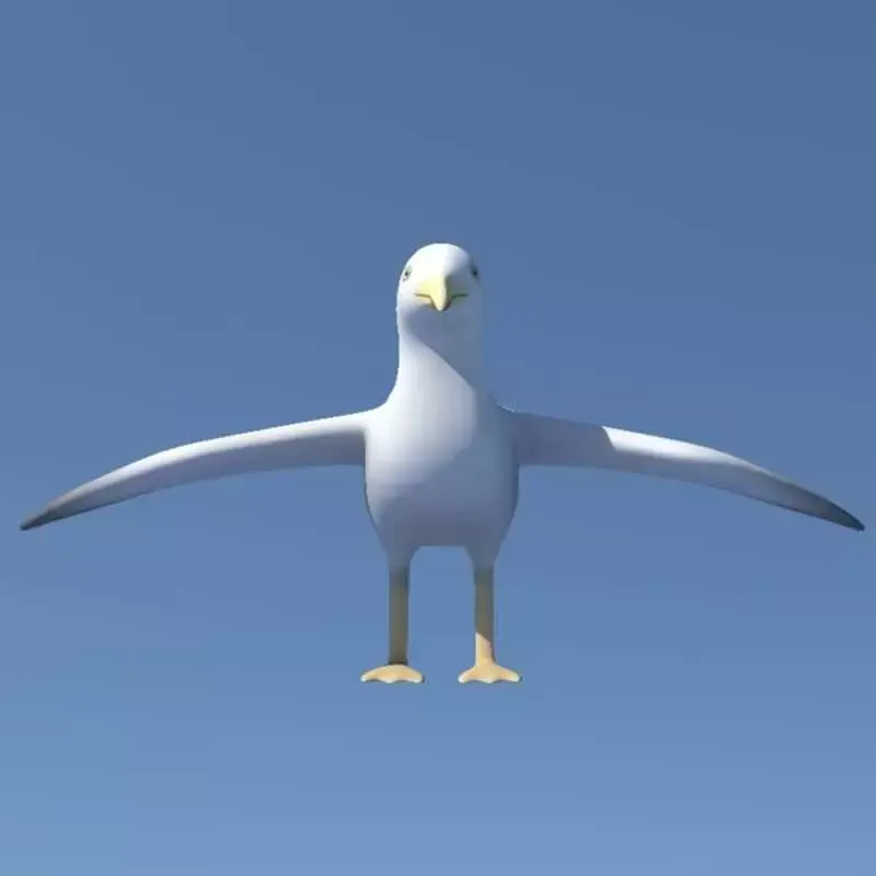 Seagull on sky Low-poly 3D model