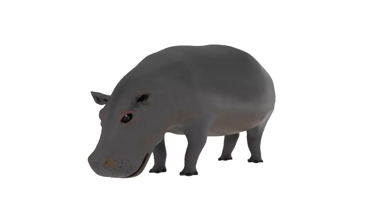 Hippopotamus 3D Model Rigged and Animated Low-poly 3D model