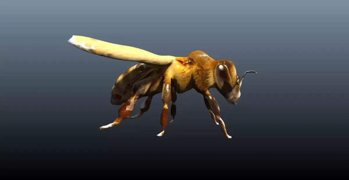 honey bee lowpoly Low-poly 3D model