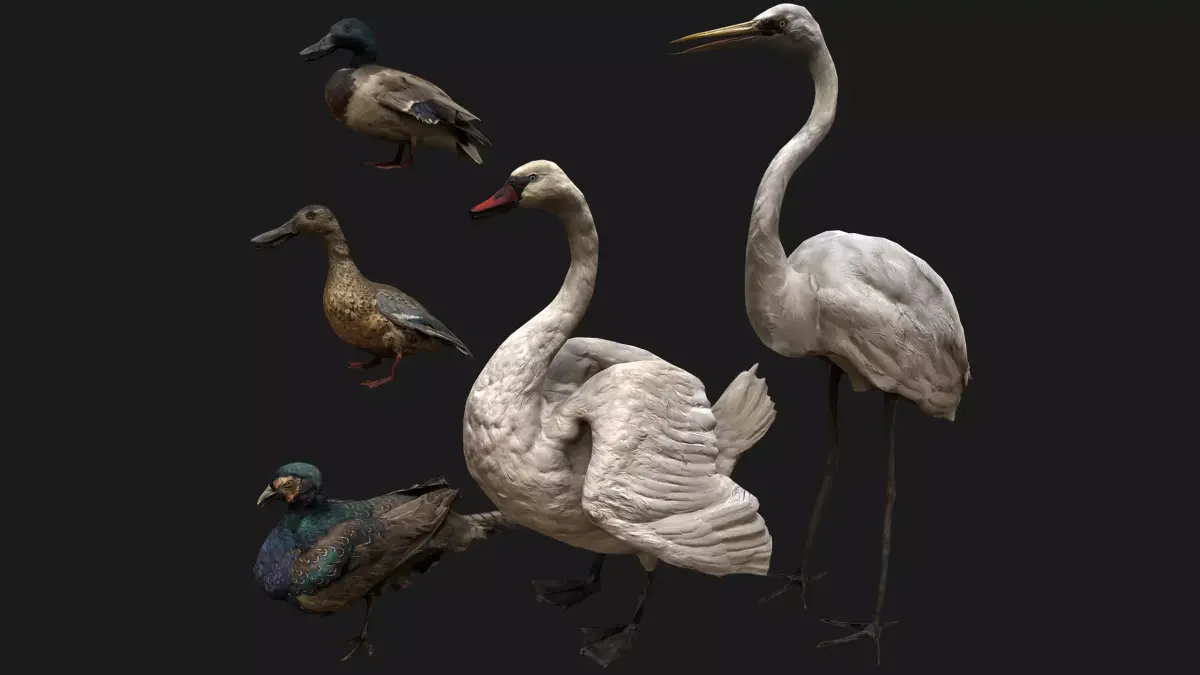 Bird Set  Swan Heron Ducks Pheasant Low-poly 3D model