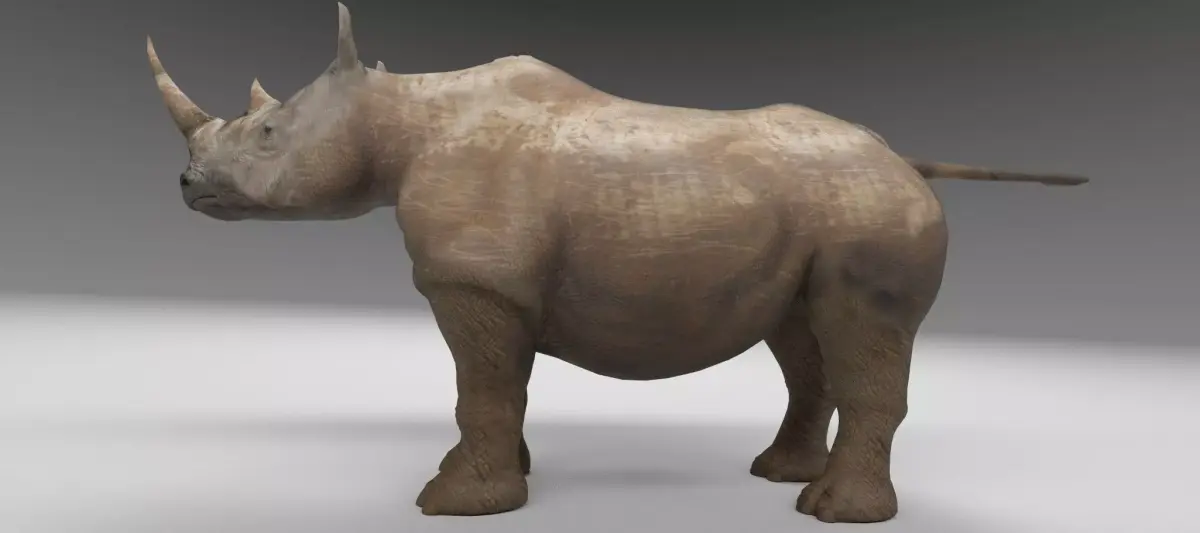 Rhino 3d model rhinoceros Low-poly 3D model purchase