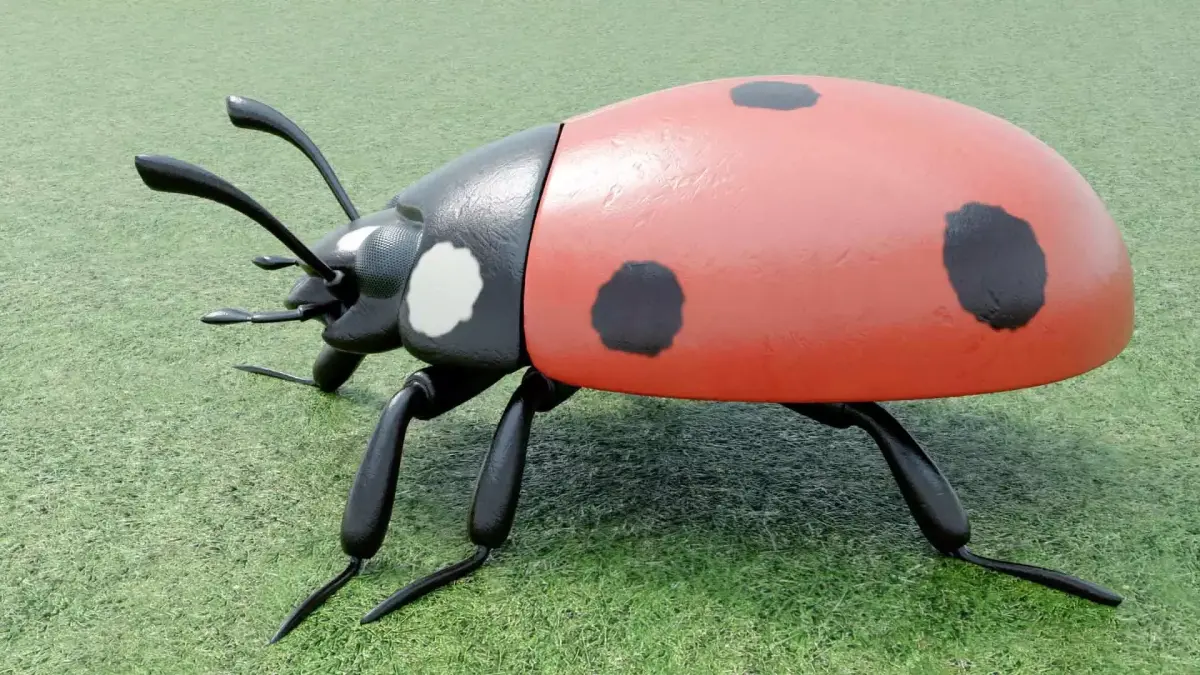 Ladybug stylized 3D model