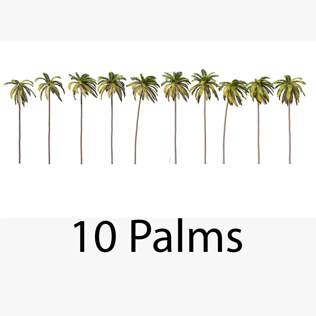 Palms 011-020 with LODs 3D model