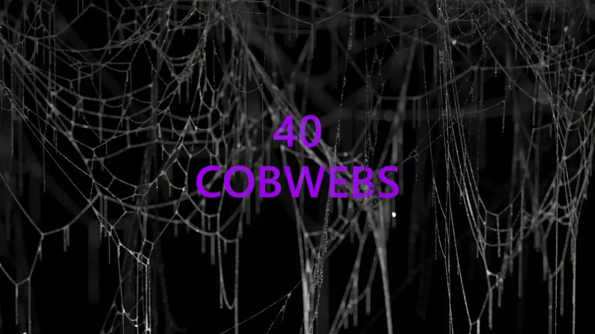 40 High Detailed COBWEBS 3D model