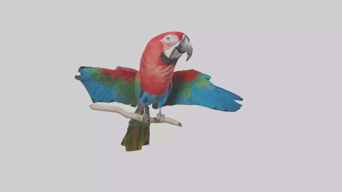 Greenwinged Macaw perched model Low-poly 3D model