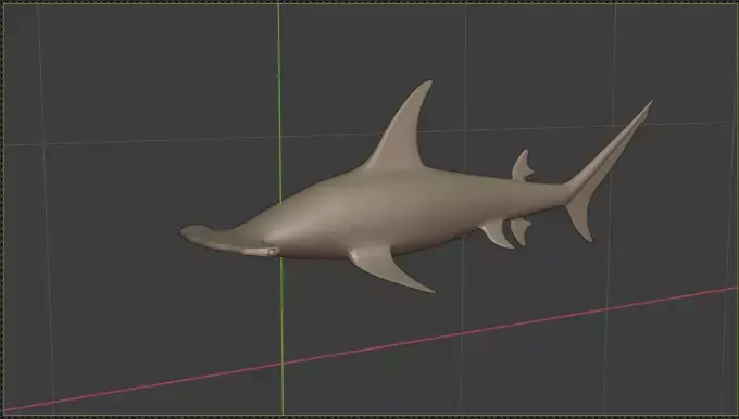 Hammerhead Shark 3D model purchase