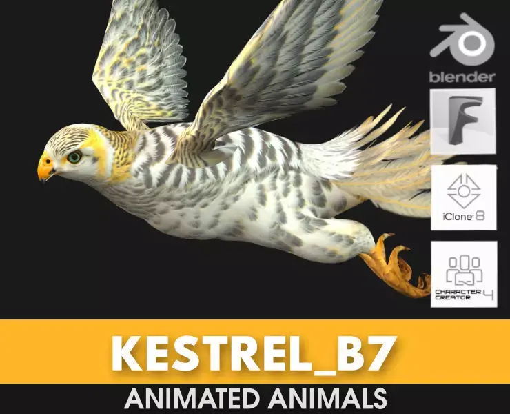 Kestrel B7 3D model
