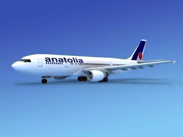 Airbus A-300 Air Anatolia 3D model