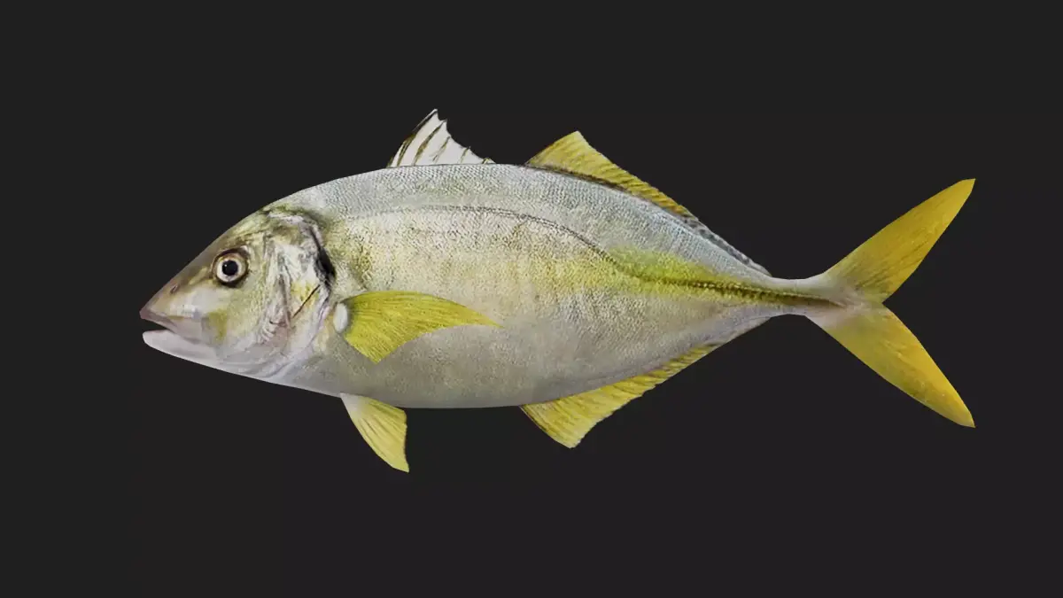 Trevally Low-poly 3D model purchase