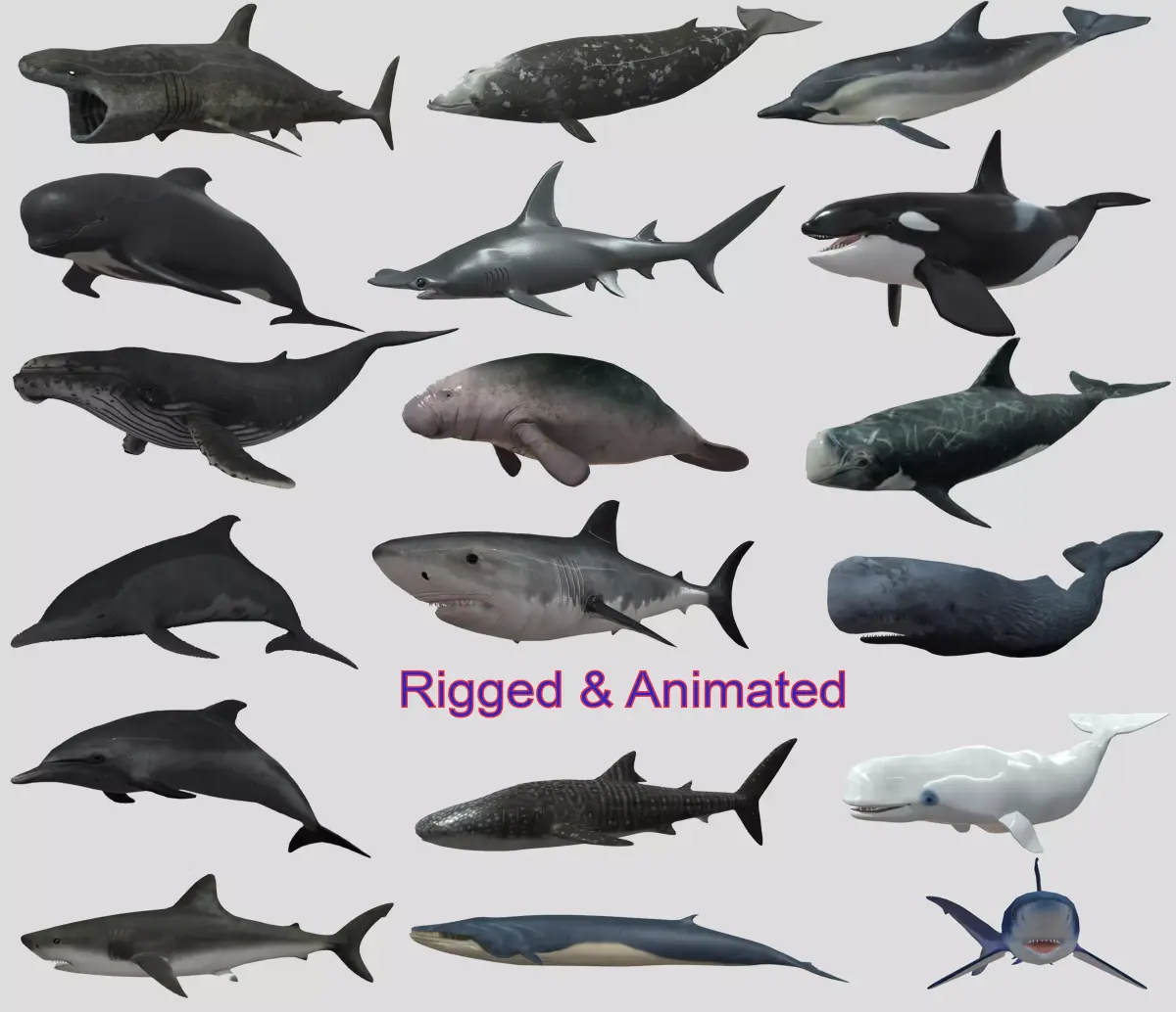 Big Fish Collection Animated - Game Ready Low-poly 3D model