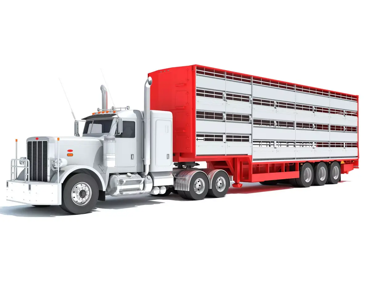 Animal Transporter Semi Truck and Trailer 3D model