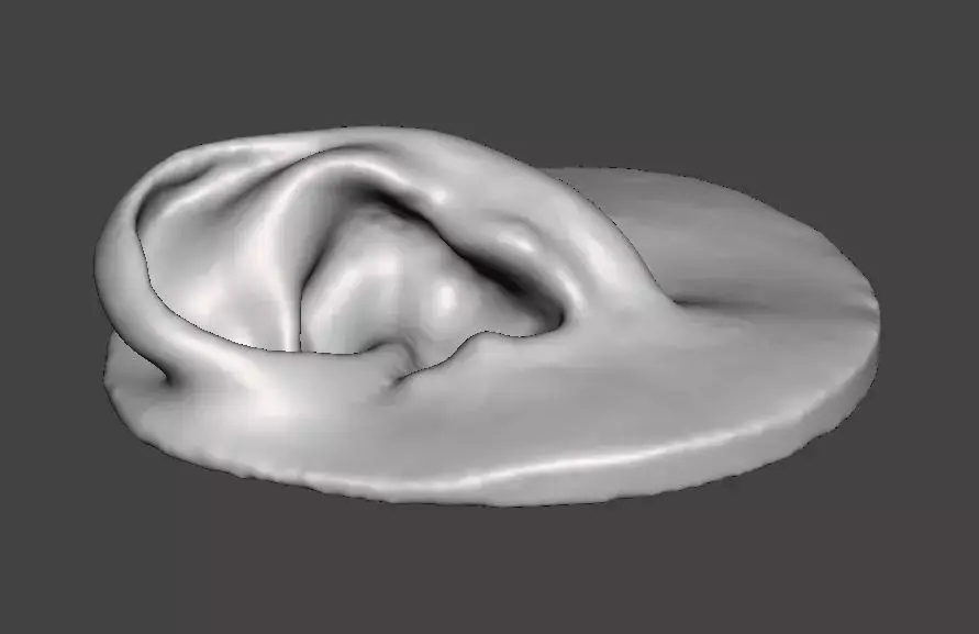 Real human ear anatomy  3D print model