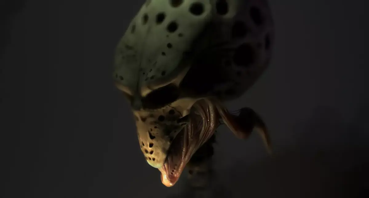Snail skull 3D model