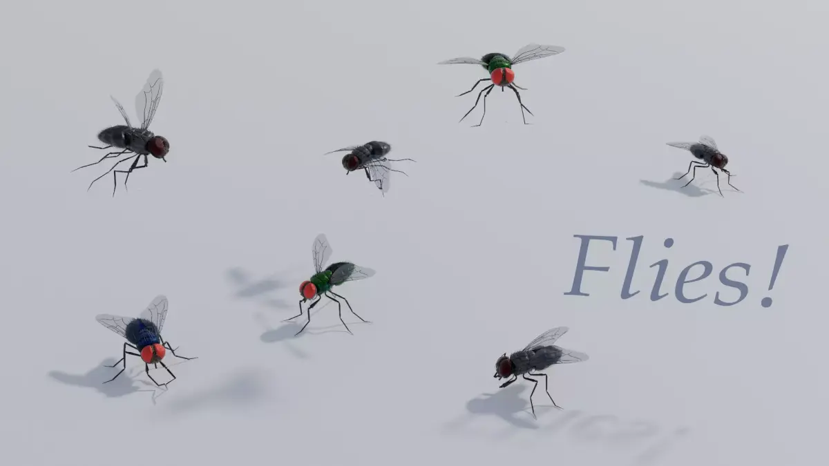 Flies for blender Low-poly 3D model
