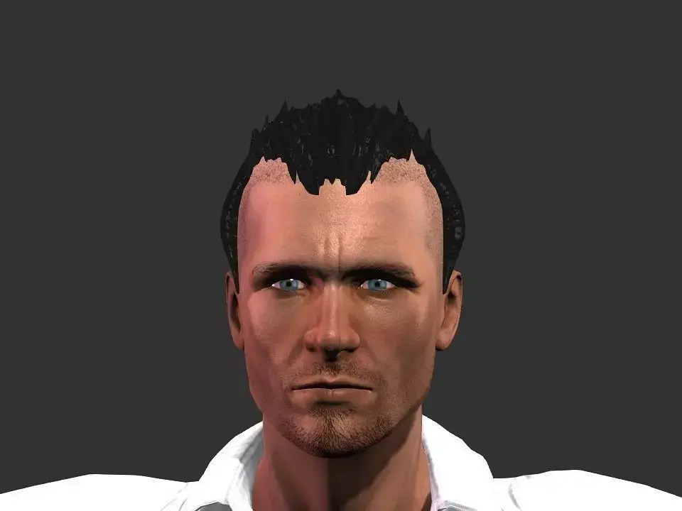 Hair models 3D model