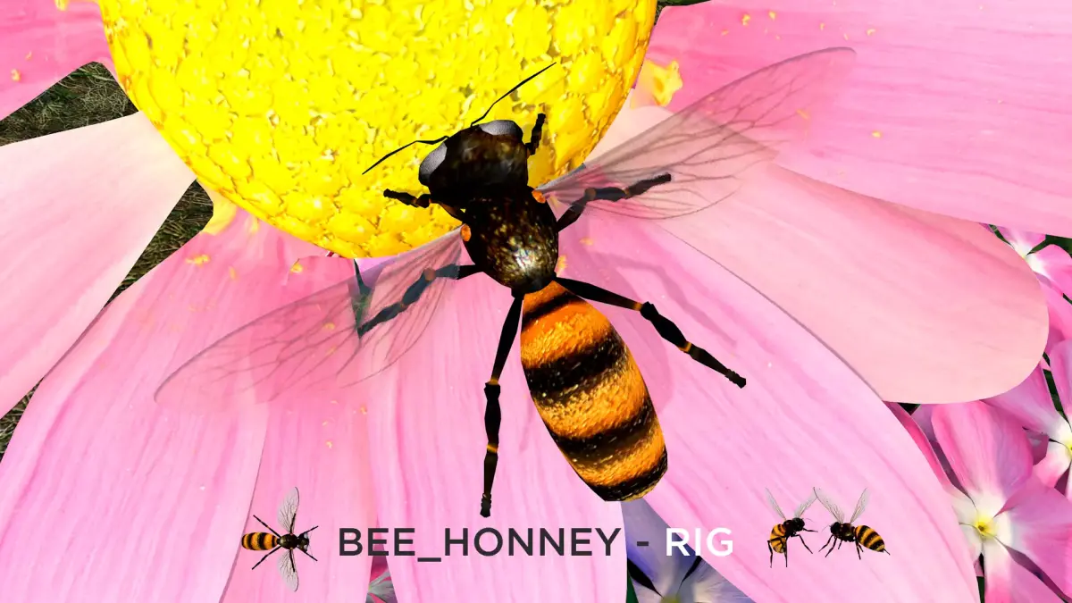 Bee Honey Movie 3D Model 3D model