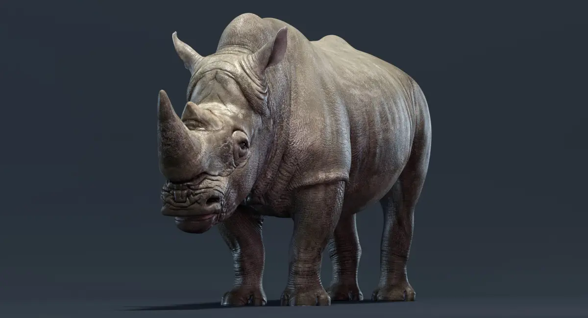 Rhino Rigged 3D model