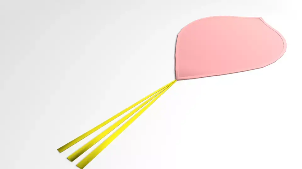 Heart Kite 3D model