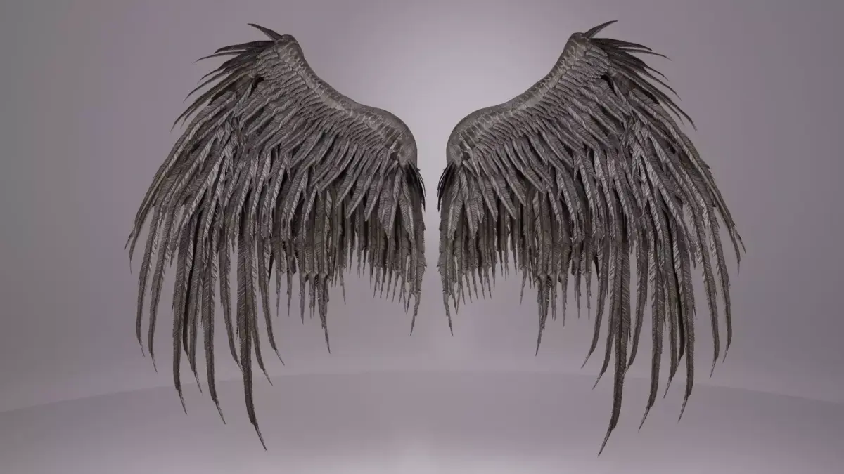 Wings  3D model
