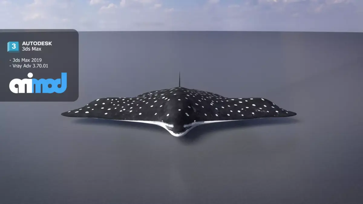 Spotted Eagle Ray 3D model