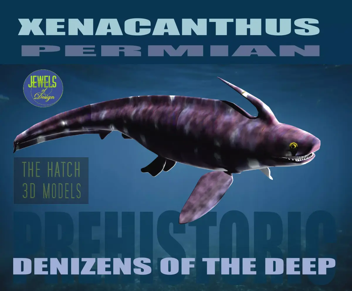 Xenacanthus whale shark Low-poly 3D model